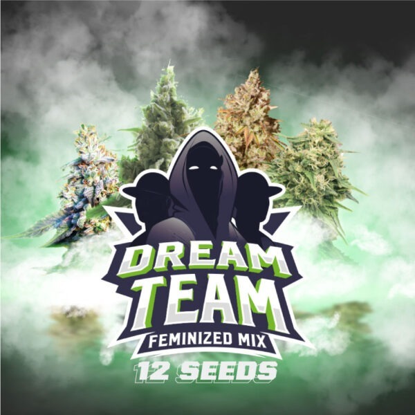 Dream Team Feminizada Mix BSF – (x12)