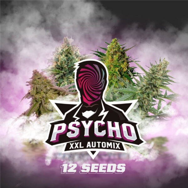 Auto Mix Psycho XXL BSF – (x12)