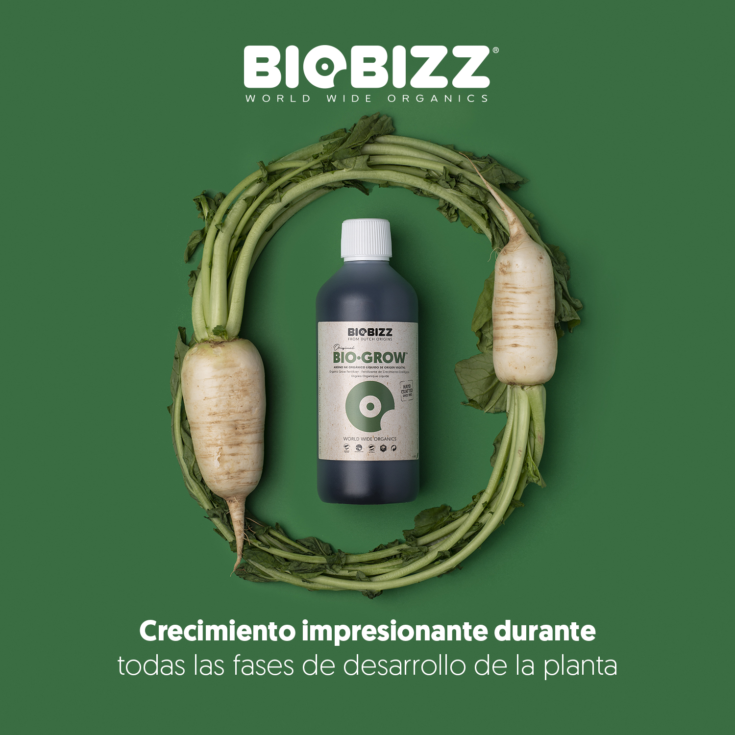 Bio Grow 250ml – BioBizz