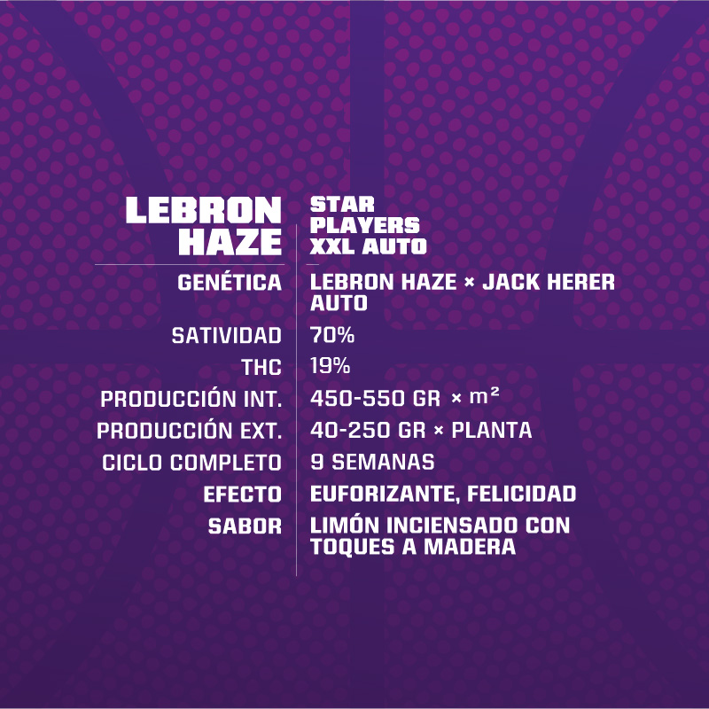 Lebronhazeauto-gen_3