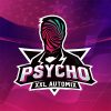 Auto Mix Psycho XXL BSF - (x12)