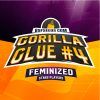 Gorilla Glue Feminizada BSF - (x4)
