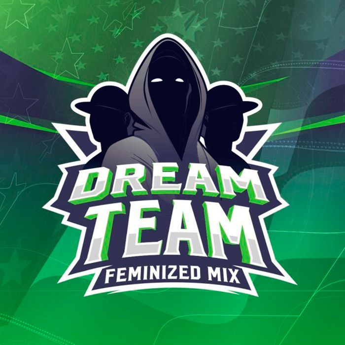Dream Team Feminizada Mix BSF - (x12)
