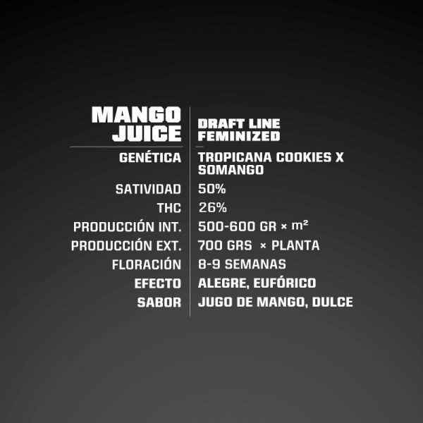 Mango Juice fem BSF – (x4)
