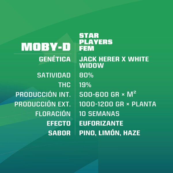 Moby D Feminizada BSF - (x4)